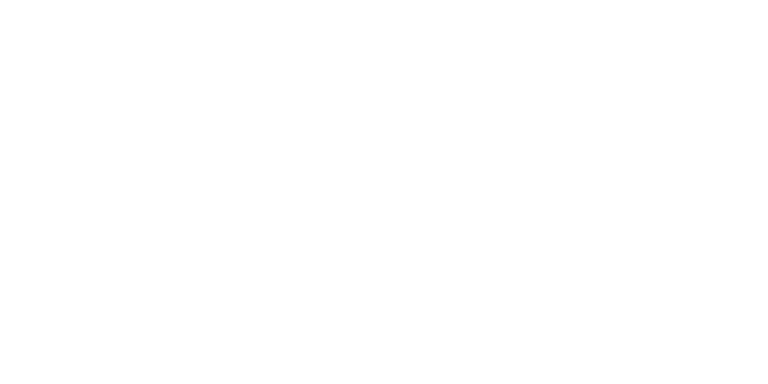 Next Level Racing