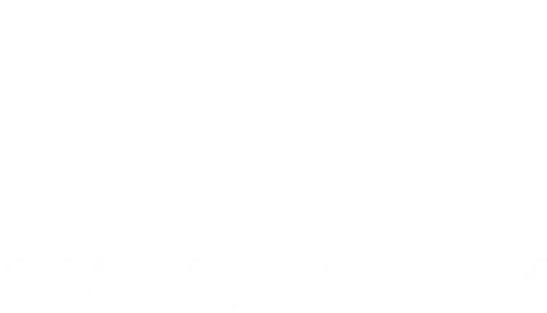 Qubic Systems